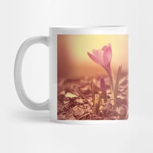 Crocus Mug